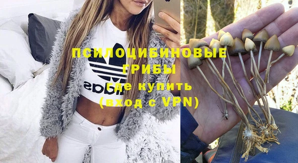 каннабис Белокуриха