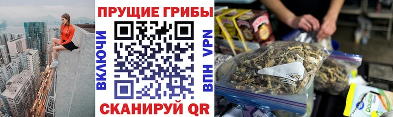Галлюциногенные грибы мицелий  купить наркоту  Кудрово 